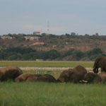 Authentic African Adventures Hanno van Rensburg Botswana 06