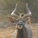 Hanno van Rensburg owner of Authentic African Adventures Faces Close up 08